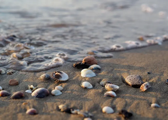 Charming Flat Just Steps Away From The